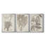 «Sepia Exotic Plants IV», ensemble de 3 peintures sur toile encadrées-11060931-11060930
