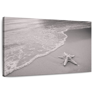 Gillard Beach Starfish - monochrome
