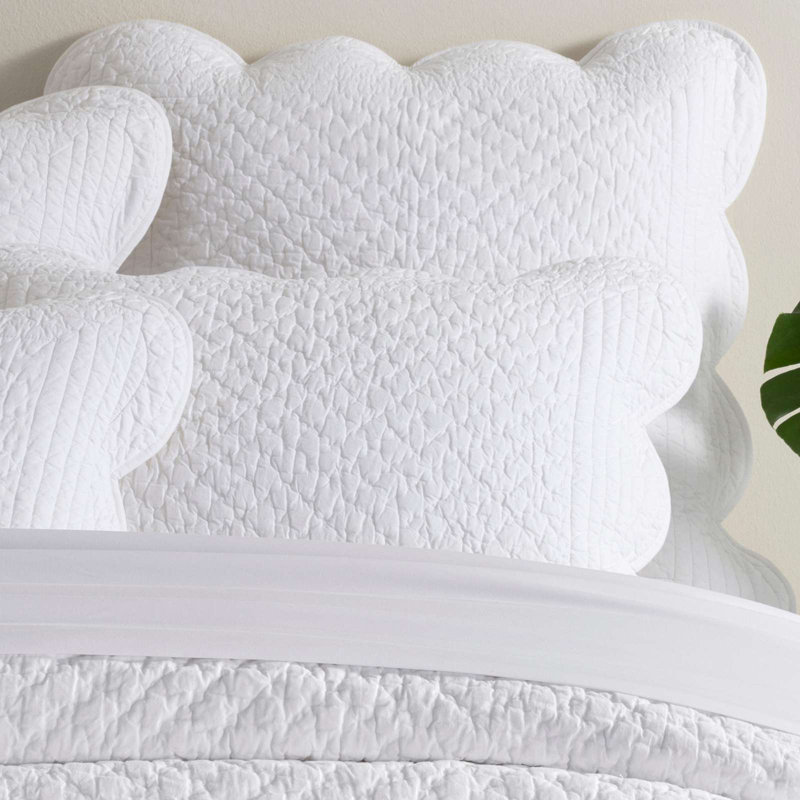 Power Shake Scallop White Quilted Sham, Euro