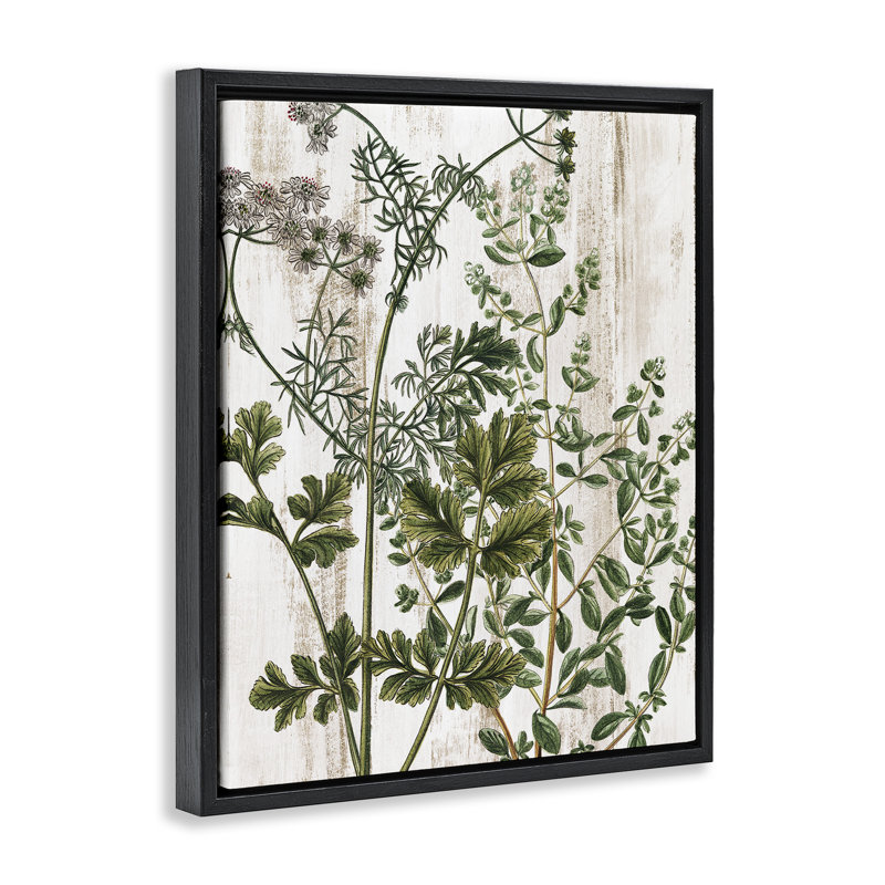 "Botanical Greenery", art mural encadré sur toile flottante par Kim Allen, Cadre flottant noir de jais, H 21 po x l 17 po