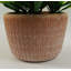 22cm Faux Plant in Terracotta Planter