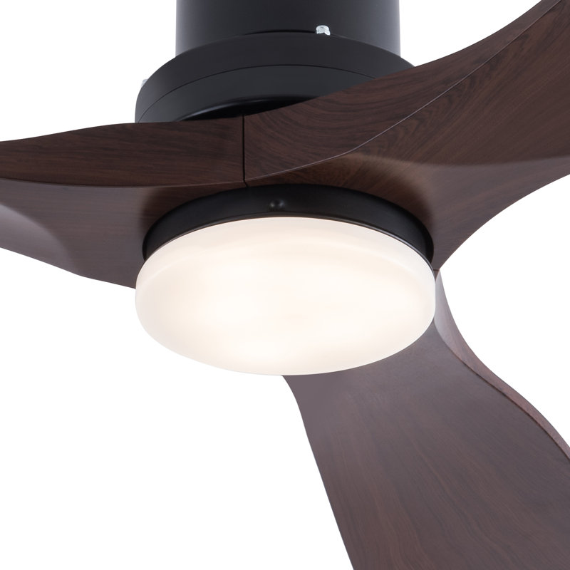 Lustre ventilateur de plafond moderne à DEL 42 po avec télécommande Jhamarion, Noir / brun