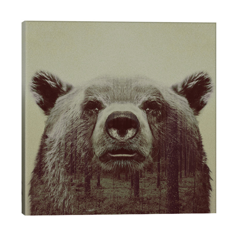 Bear II by Andreas Lie - Wrapped Canvas Print, 30.48 cm H x 30.48 cm W