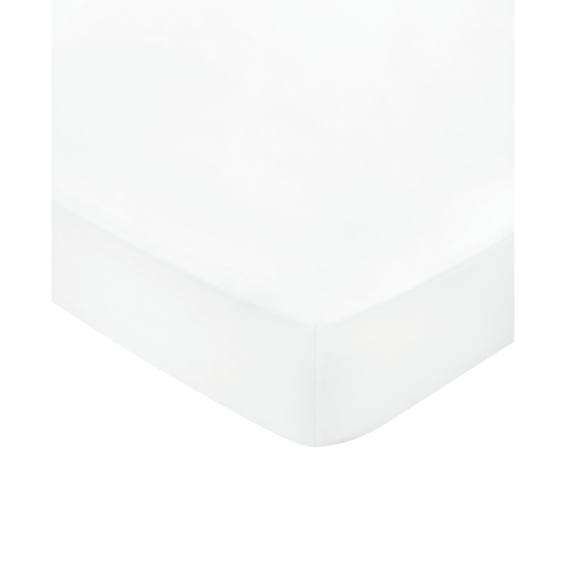 BOB 600TC EQYPTIAN COTTON Egyptian Cotton Plain Weave / Muslin Fitted Sheet, Double (4'6), White