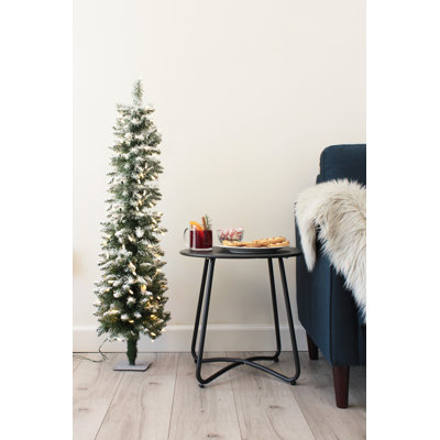 5' Lighted Pine Christmas Tree