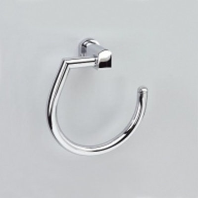 Stand Mirrors Towel Ring