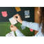 Baelynn Magnetic Cork Corkboard / Bulletin Board Bulletin Board
