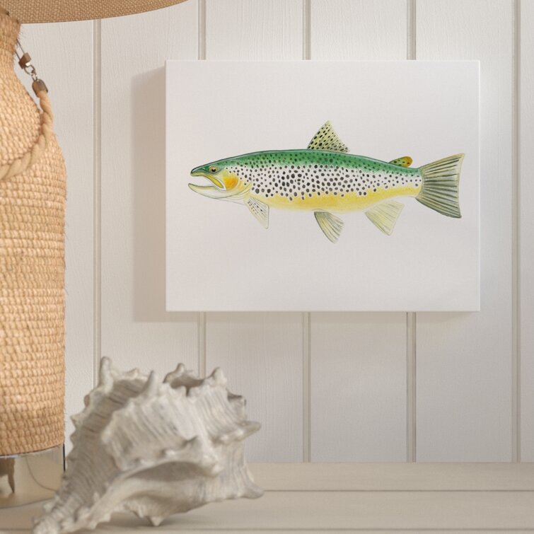 Loon Peak® Fish (Multi-Color) On Canvas by Dean Crouser Gallery-Wrapped  Canvas Giclée & Reviews