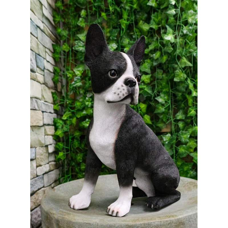 Grand chien réaliste Boston Terrier 15 po