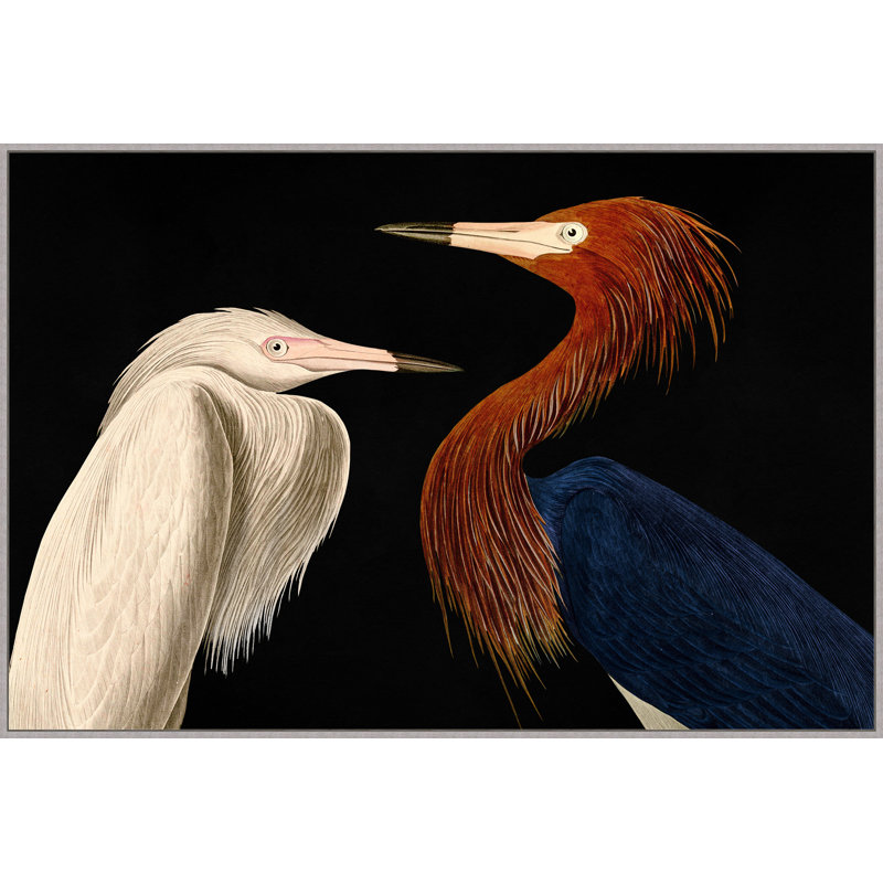 Audubon Conversation Painting by Thom Filicia
