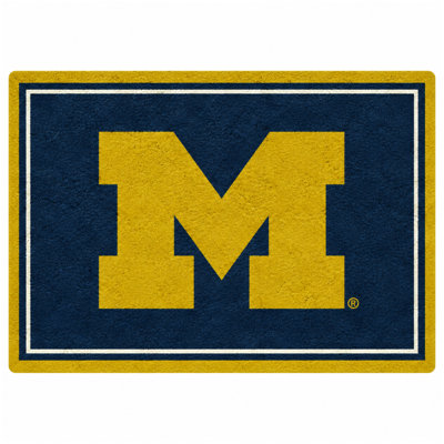 University of Michigan Spirit