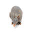 Statue de jardin Tank the Armadillo