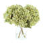 Hydrangea Floral Arrangement in Glass Vase