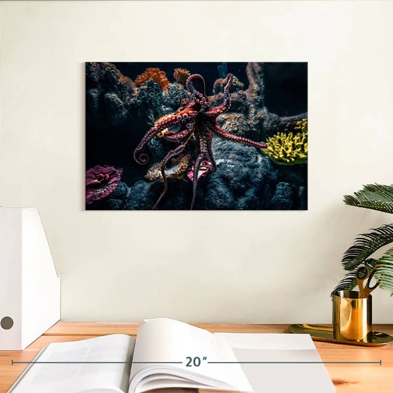 Brampt Octopus Habitat, 8" H x 12" W