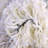 Abstract Indoor Rug-359678790