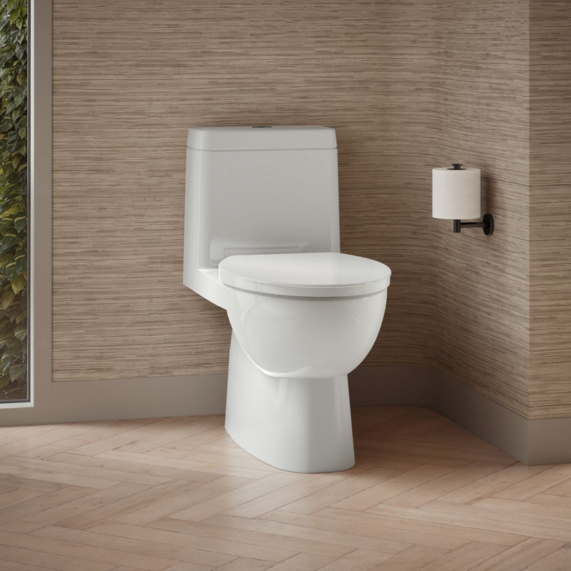 Toilette allongée compacte une pièce avec siphon à jupe et double chasse