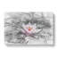 A Pale Pink Water Lily In Abstract - Wrapped Canvas Print-55301159