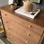 Modern Simple Black Walnut Entrance Cabinet Accent Chest