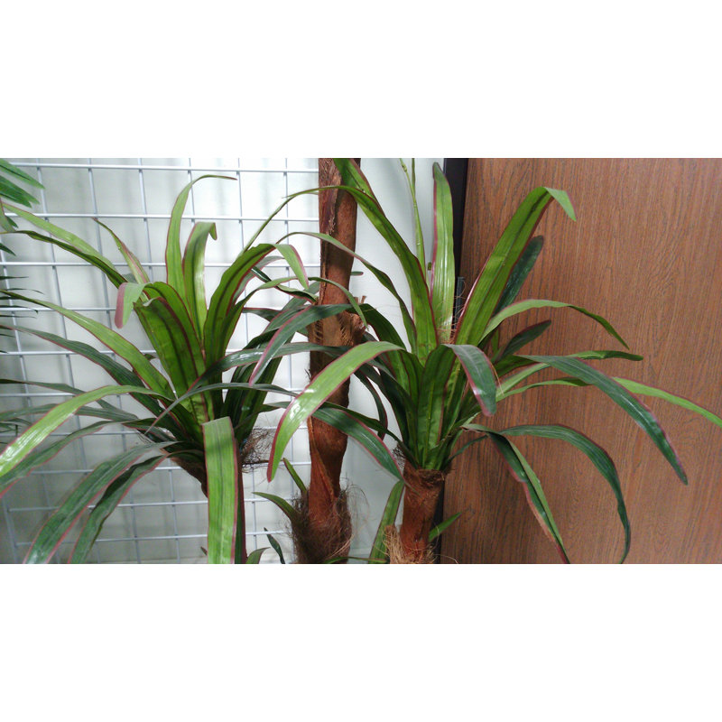 Dracaena artificiel en pot