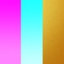 Multicolored Fuchsia