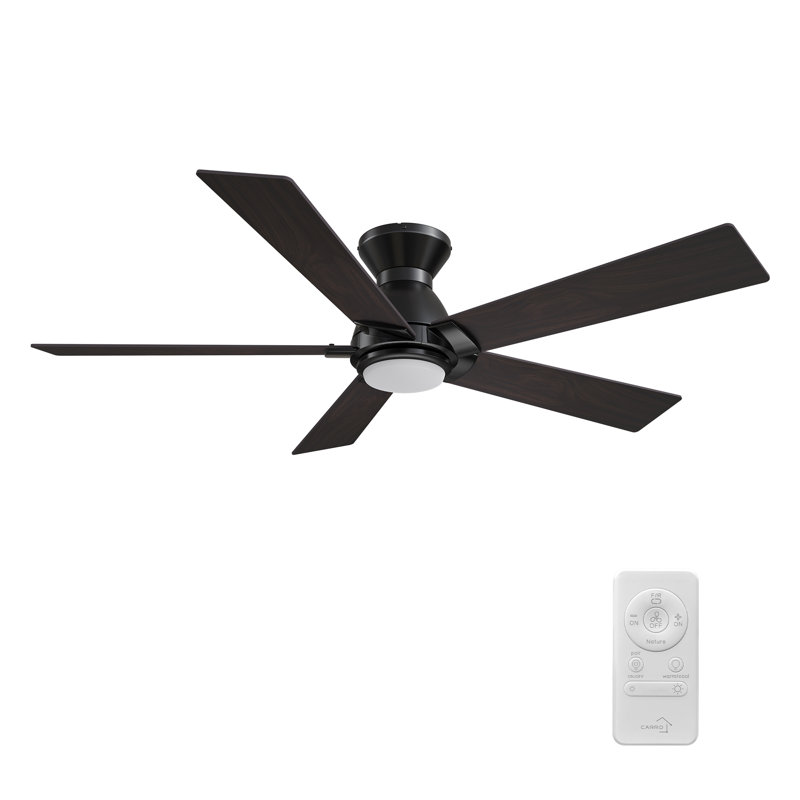 Dayceon 52'' Ceiling Fan with LED Lights, Dark Walnut, Black