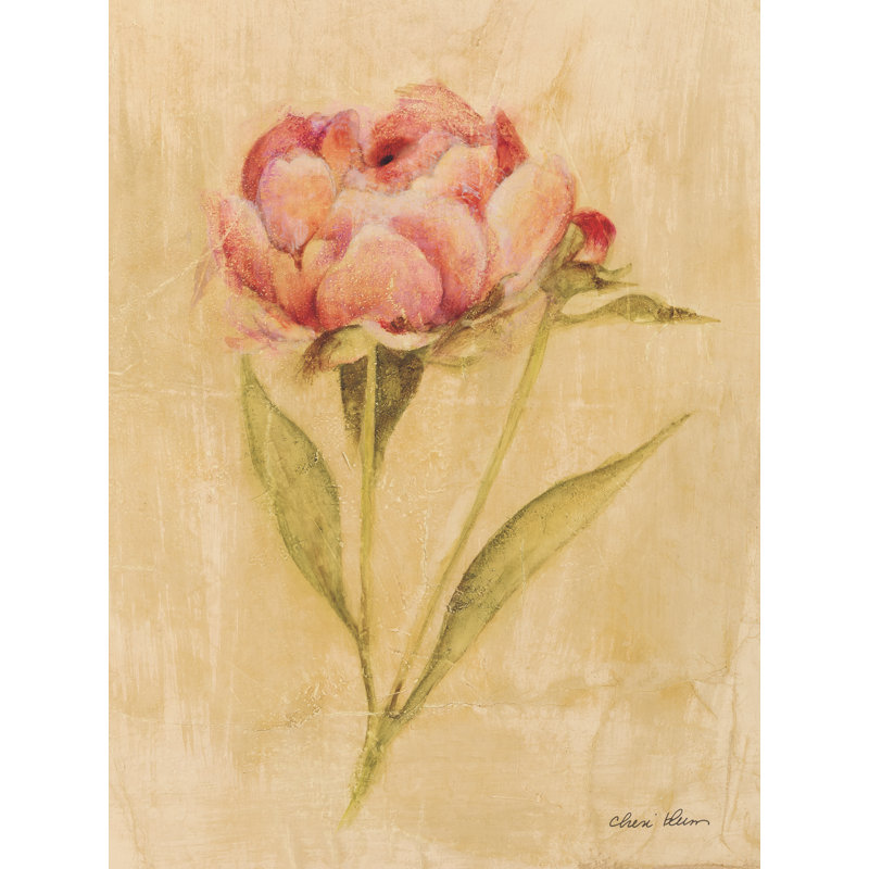 Pivoine II par Cheri Blum, H 16 po x l 12 po