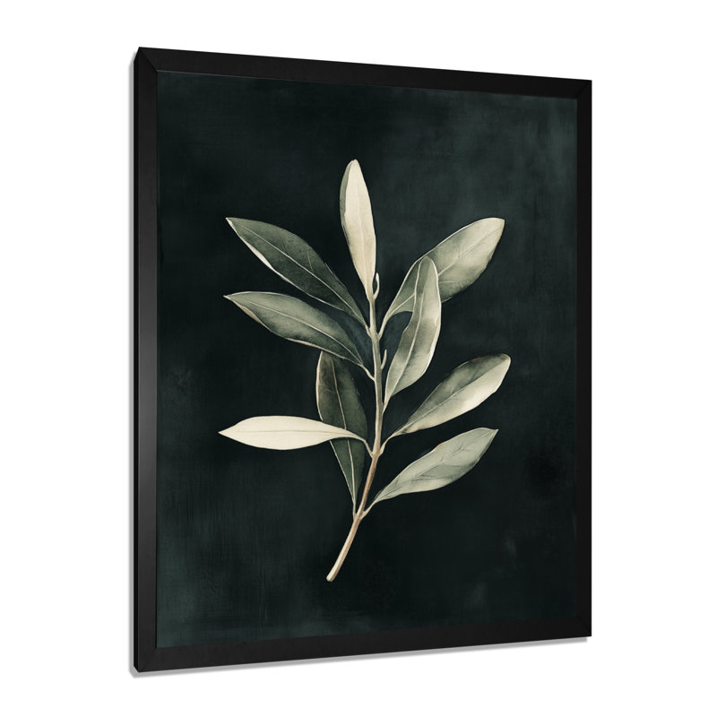 Black Olive Branch After Dark III - Neutral Botanical Canvas Wall Art, H 32 po x l 24 po, Black Picture Framed