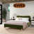 Vert olive est en rupture de stock