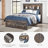 Drystan Bookcase Bed-97176895