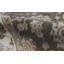 One-of-a-Kind 8'1" X 9'11" Area Rug