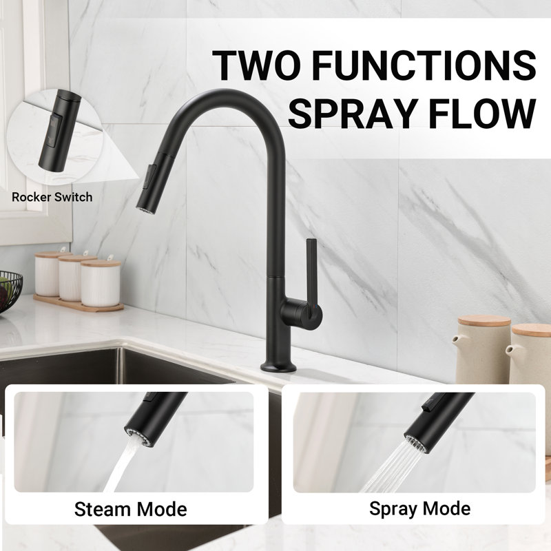Matte Black Single Handle High-Arc Kitchen Faucet with Pull-out Spray