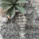 Hedlund Geometric Indoor Rug