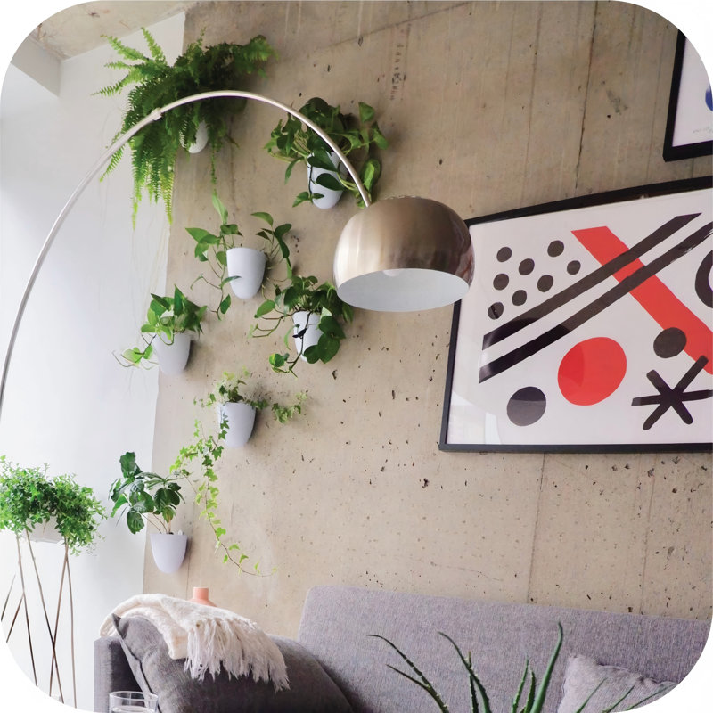 Jardinières murales auto-arrosantes (ensemble de 6) - Facile à arroser et à installer - Légère - Créez votre propre jardin vertical - Jardinières murales pour plantes d'intérieur