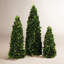 High Cone Topiary