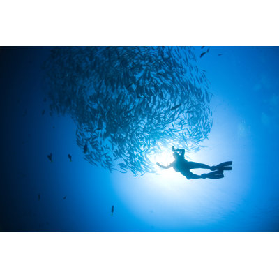 Divers Silhouette - Wrapped Canvas Print