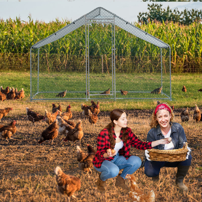 Cammock 65m² Chicken Coop