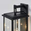 Applique murale d'extérieur en fer noir 17 po H 2 lumières-1203248435