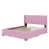 Rose est en rupture de stock