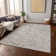 Machine Washable Indoor/Outdoor Claudian ACN1660 Linen Rug