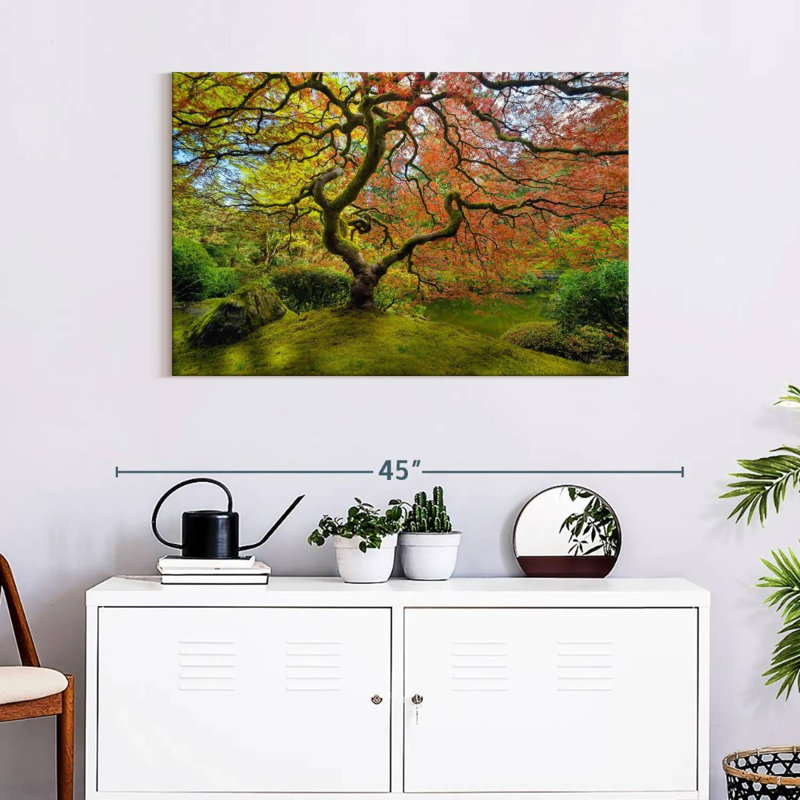 Érable japonais Harnek Spring