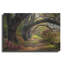 «Under the Live Oaks I» par Danny Head, art mural en métal-764977353