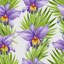 Binta 2.5m x 1.04m Matte Mural-1681962081