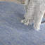 Tapis rayé bleu et gris intérieur antidérapant-1580798336
