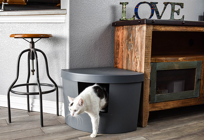 Kitangle Corner Kitty