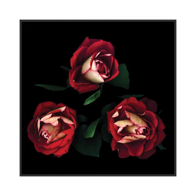 " Passionate Trio " by Magda Indigo