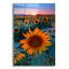 «Sunflower Sunset» par Rick Berk-1720175701