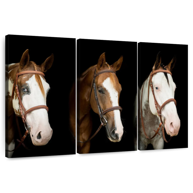 American Paint Horses, H 32 po x l 50 po