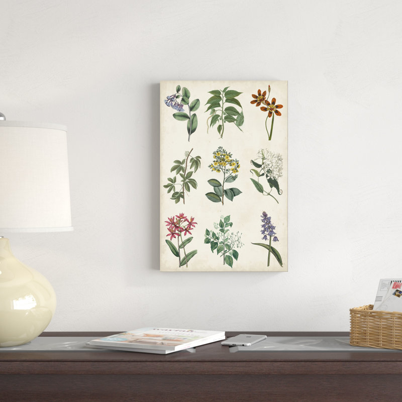 Tableau botanique I, H 18 po x l 12 po x P 1,25 po