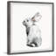 «Morehouse Furry Bunny», reproduction encadrée-1271557289