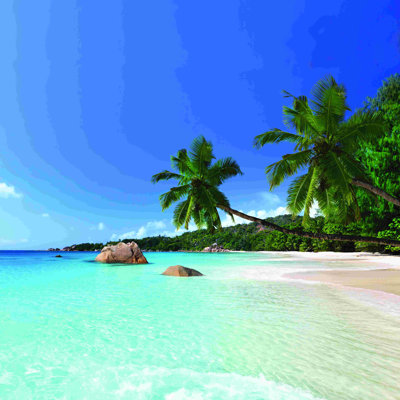 " Beach Paradise Blue "